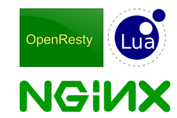 James Butherway explains the reasons for testing Nginx functionality with Lua unit tests.